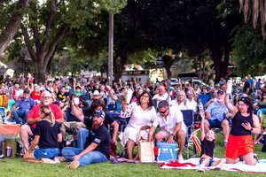 concert crowd
