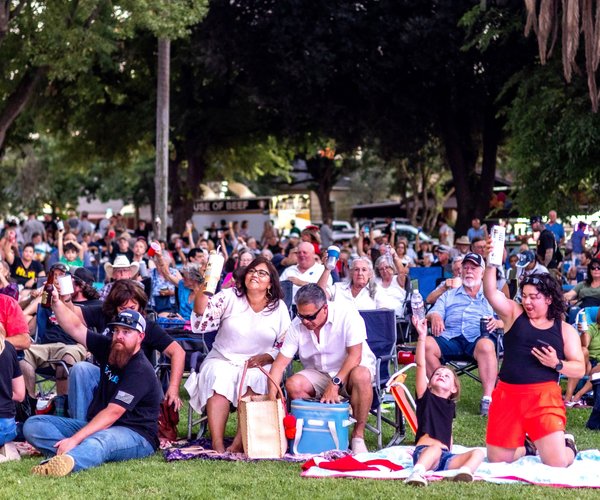 concert crowd
