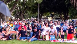 concert crowd