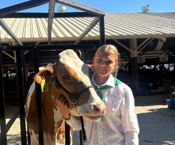 newman 4h fair avery