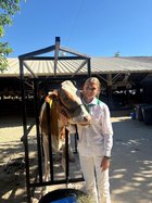 newman 4h fair avery