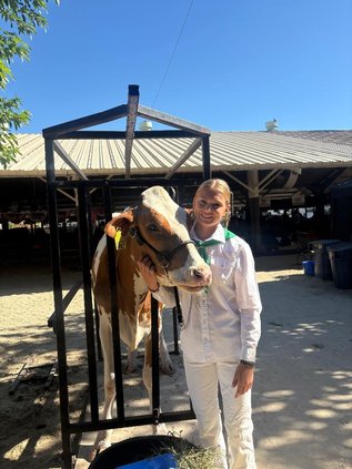 newman 4h fair avery