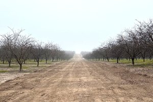 Farm trust 8-5