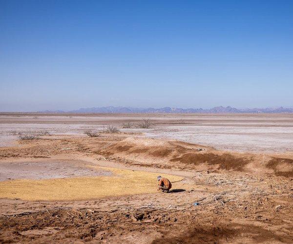 colorado river delta