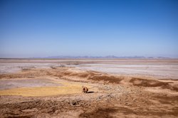 colorado river delta