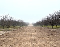 Farmland Trust
