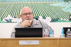 mayor nagy