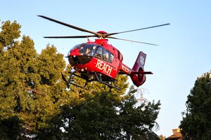 812 chopper