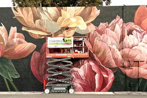 mural pix