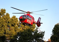 812 chopper