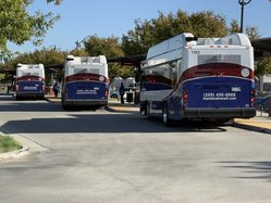 transit buses