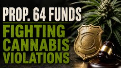 cannabis Prop 64