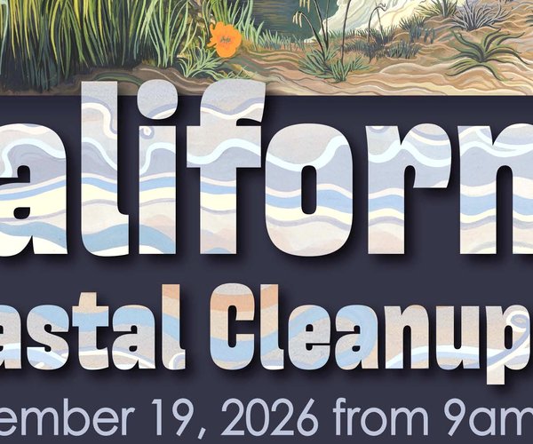 Coastal 819