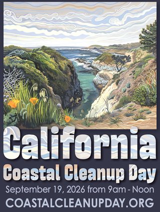 Coastal 819