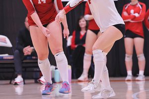 Volleyball preview