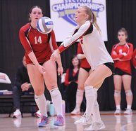 Volleyball preview