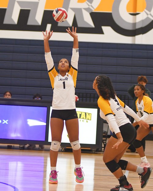 Volleyball preview