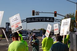 workers picket