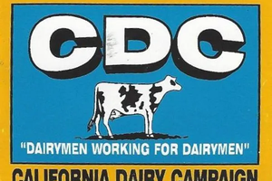 Cal dairy