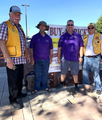Brick lions
