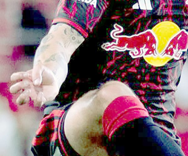 Cowell New York Red Bulls