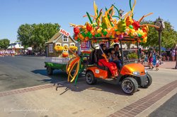 nff float