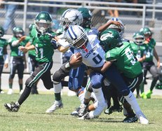 Cowboys-Jr. Buffaloes starts