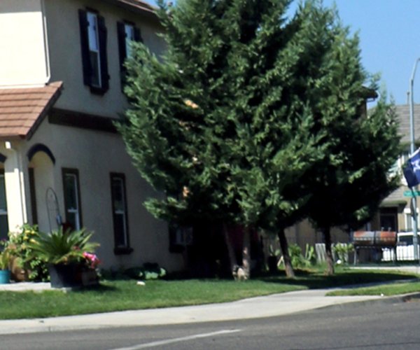 Westpointe median