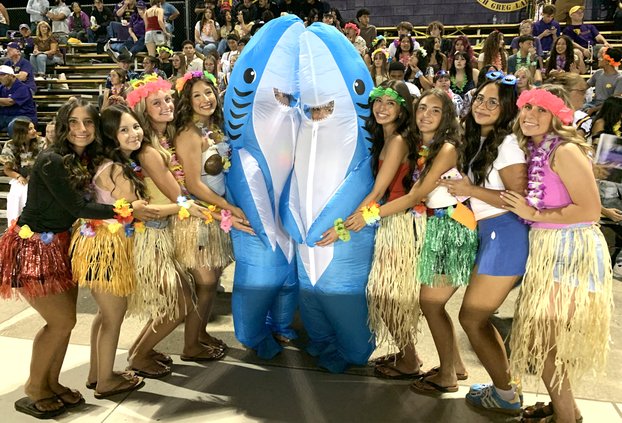 e shark