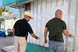Hudson paints