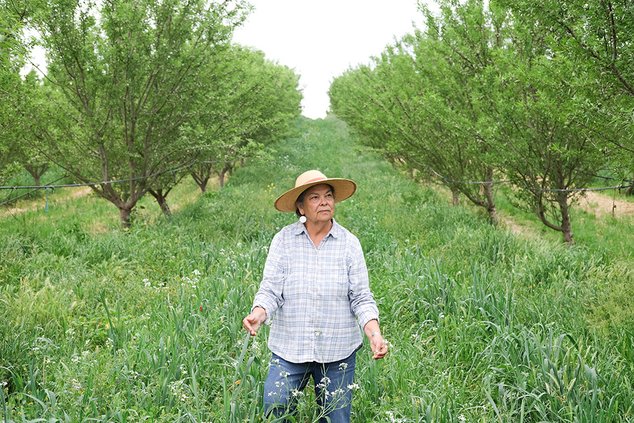 regenerative label farmer