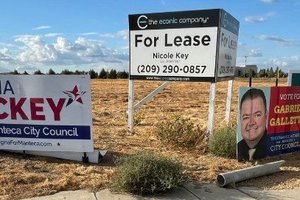 campaign signs