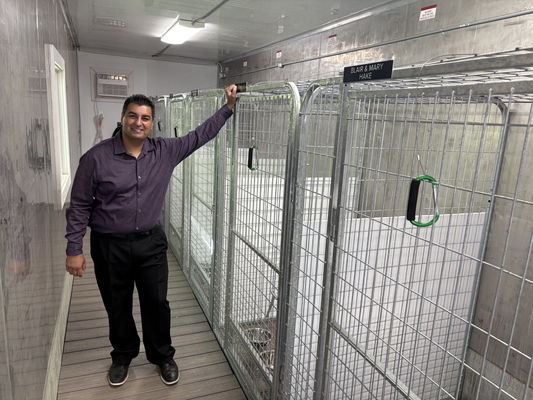 homeless kennels