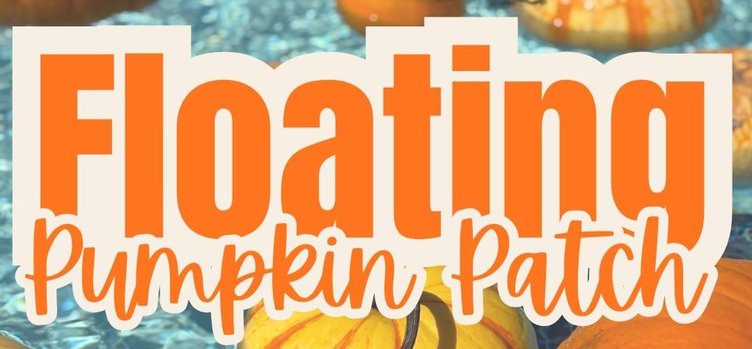 9-9 Pumpkin
