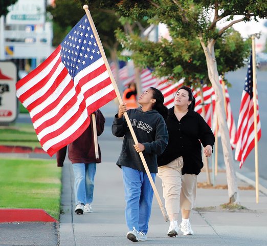 THOSE 2,400 FLAGS & A RETIRED ARMY LT. COLONEL NAMED JOE PELLEGRINO