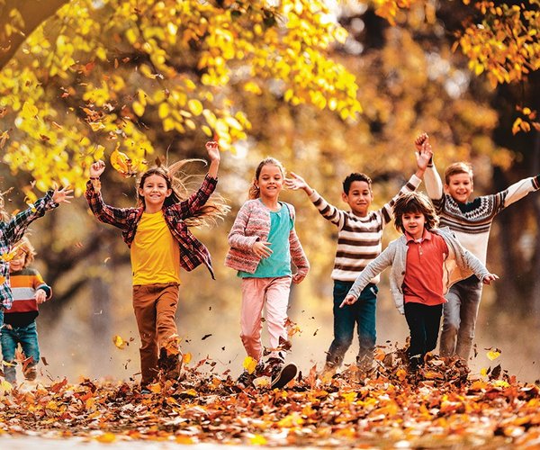 916 autumn
