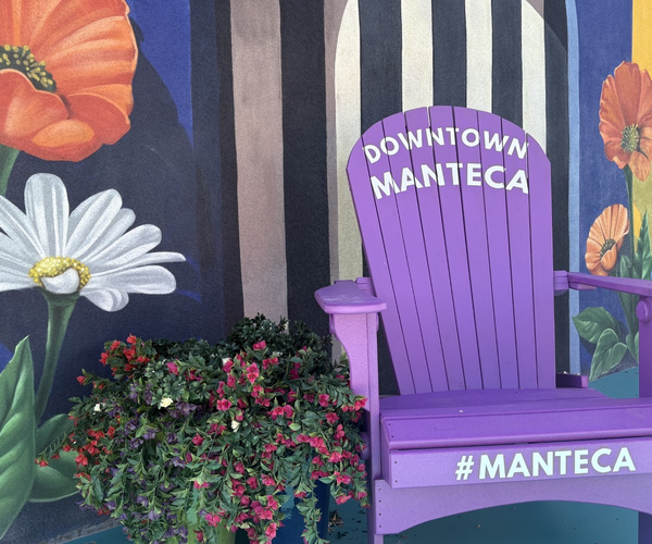 downtown chair