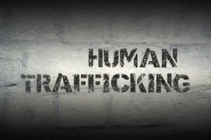 Trafficking art