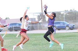 ohs ff 9-9
