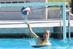 ohs wp 9-9