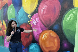 Mural alley