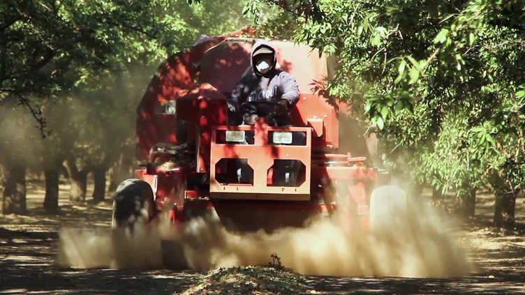 sweeping almonds