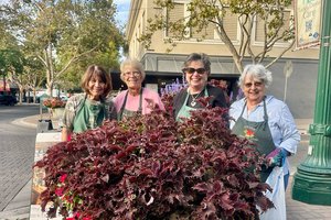 downtown flower pots