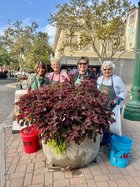 downtown flower pots