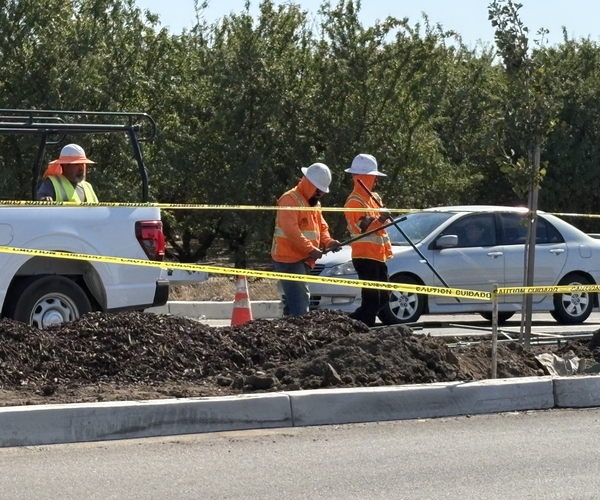 woodward median work