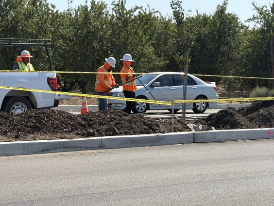 woodward median work