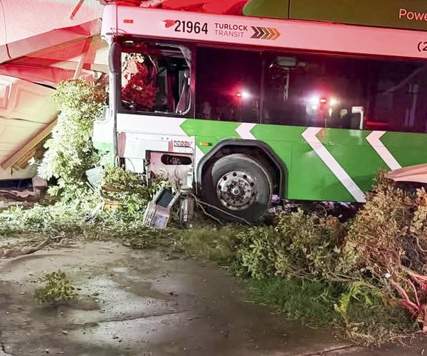 fatal crash with bus