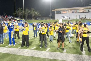 1 band