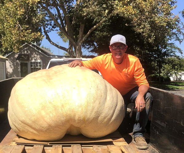 Jake pumpkin 930