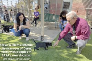 animal shelter
